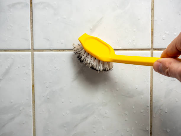 Reliable Somers Point, NJ Mold Removal Solutions
