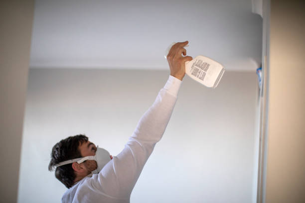 Best Mold Testing  in Somers Point, NJ