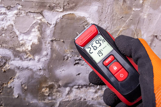 Best Residential Mold Removal  in Somers Point, NJ