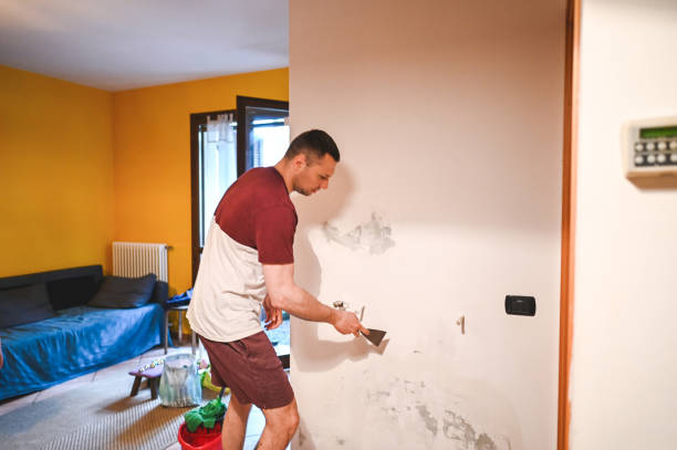 Best Local Mold Removal Service  in Somers Point, NJ